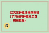 红灵芝种植法视频教程(学习如何种植红灵芝：视频教程)