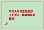 有什么跟灵芝相似(灵芝的近亲：功效相似的植物)