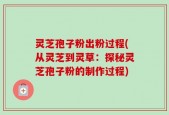 灵芝孢子粉出粉过程(从灵芝到灵草：探秘灵芝孢子粉的制作过程)