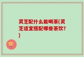 灵芝配什么能喝茶(灵芝适宜搭配哪些茶饮？)