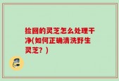 捡回的灵芝怎么处理干净(如何正确清洗野生灵芝？)