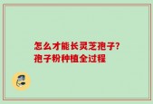 怎么才能长灵芝孢子？孢子粉种植全过程