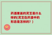 药酒里面的灵芝是什么样的(灵芝在药酒中的形态是怎样的？)