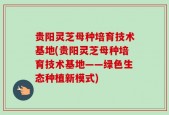 贵阳灵芝母种培育技术基地(贵阳灵芝母种培育技术基地——绿色生态种植新模式)