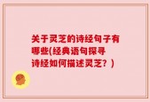 关于灵芝的诗经句子有哪些(经典语句探寻 诗经如何描述灵芝？)