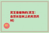 灵芝是植物的(灵芝：自然长在树上的天然药材)