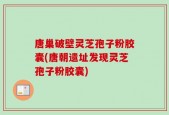 唐巢破壁灵芝孢子粉胶囊(唐朝遗址发现灵芝孢子粉胶囊)
