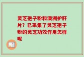 灵芝孢子粉和澳洲护肝片？已采集了灵芝孢子粉的灵芝功效作用怎样呢