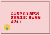 上山超大灵芝(超大灵芝重现江湖：登山探秘成功！)