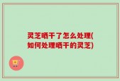 灵芝晒干了怎么处理(如何处理晒干的灵芝)