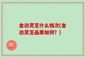 金边灵芝什么档次(金边灵芝品质如何？)