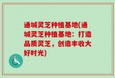 通城灵芝种植基地(通城灵芝种植基地：打造品质灵芝，创造丰收大好时光)