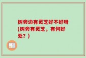 树旁边有灵芝好不好呀(树旁有灵芝，有何好处？)