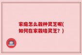 家庭怎么栽种灵芝呢(如何在家栽培灵芝？)