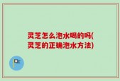 灵芝怎么泡水喝的吗(灵芝的正确泡水方法)
