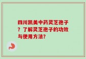 四川凯美中药灵芝孢子？了解灵芝孢子的功效与使用方法？