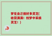 梦见自己摘好多灵芝(收获满满！枕梦中采摘灵芝！)