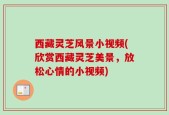 西藏灵芝风景小视频(欣赏西藏灵芝美景，放松心情的小视频)