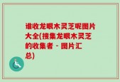 谁收龙眼木灵芝呢图片大全(搜集龙眼木灵芝的收集者 - 图片汇总)