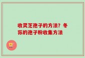 收灵芝孢子的方法？冬荪的孢子粉收集方法