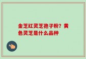 金芝红灵芝孢子粉？黄色灵芝是什么品种