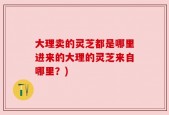 大理卖的灵芝都是哪里进来的大理的灵芝来自哪里？)