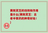 黄斑灵芝的功效和作用是什么(黄斑灵芝：古老中草药的神奇好处！)