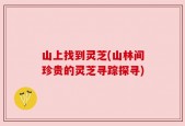 山上找到灵芝(山林间珍贵的灵芝寻踪探寻)