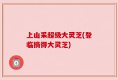 上山采超级大灵芝(登临摘得大灵芝)