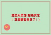 造型大灵芝(超级灵芝！豆腐都变亲兵了！)