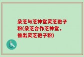 朵芝与芝神堂灵芝孢子粉(朵芝合作芝神堂，推出灵芝孢子粉)