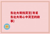 东北大哥找灵芝(寻觅东北大哥心中灵芝的故事)