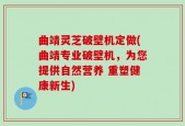 曲靖灵芝破壁机定做(曲靖专业破壁机，为您提供自然营养 重塑健康新生)