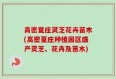 高密夏庄灵芝花卉苗木(高密夏庄种植园区盛产灵芝、花卉及苗木)