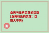 桑黄与无柄灵芝的区别(桑黄和无柄灵芝：区别大不同)
