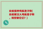 白蚁接种鸡枞孢子粉(白蚁被注入鸡枞孢子粉，将控制它们？)