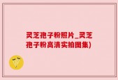 灵芝孢子粉照片_灵芝孢子粉高清实拍图集)