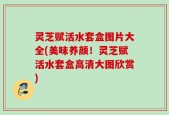 灵芝赋活水套盒图片大全(美味养颜！灵芝赋活水套盒高清大图欣赏)