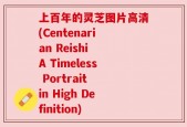 上百年的灵芝图片高清(Centenarian Reishi A Timeless Portrait in High Definition)