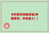 中药草药种植项目(种植草药，丰收喜人！)