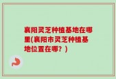襄阳灵芝种植基地在哪里(襄阳市灵芝种植基地位置在哪？)