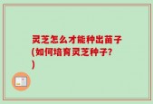 灵芝怎么才能种出苗子(如何培育灵芝种子？)