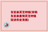 东至县灵芝种植(安徽东至县重视灵芝种植 促进农业发展)