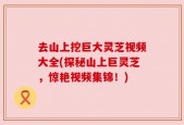 去山上挖巨大灵芝视频大全(探秘山上巨灵芝，惊艳视频集锦！)