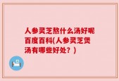 人参灵芝熬什么汤好呢百度百科(人参灵芝煲汤有哪些好处？)