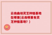 云南曲靖灵芝种植基地在哪里(云南哪里有灵芝种植基地？)