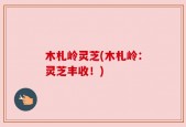 木札岭灵芝(木札岭：灵芝丰收！)