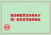宿迁破壁灵芝价格多少钱？南京灵芝收购地址