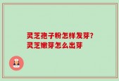 灵芝孢子粉怎样发芽？灵芝嫩芽怎么出芽