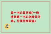 第一书记灵芝鸡(一线扶贫第一书记创业灵芝鸡，引领村民致富)